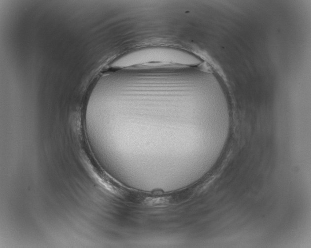 X0000066520057200604141824