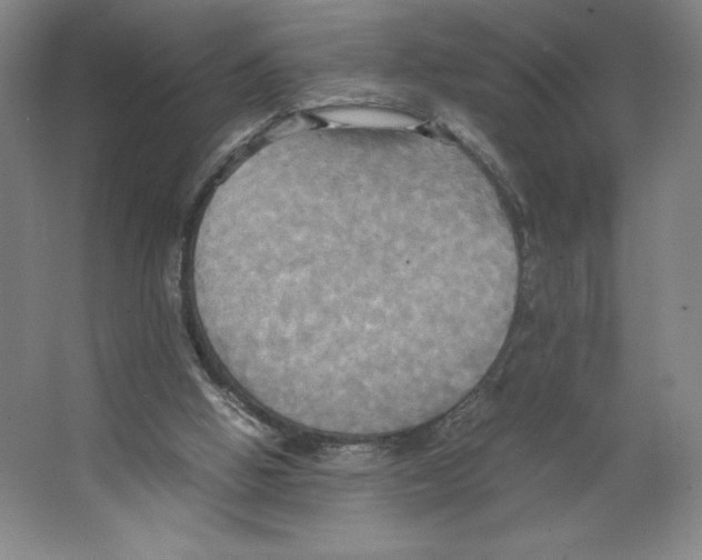 X0000066520058200604141824