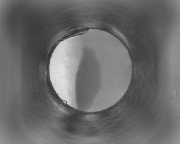 X0000066520059200604141824