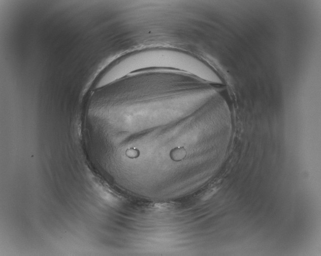 X0000066520060200604141824