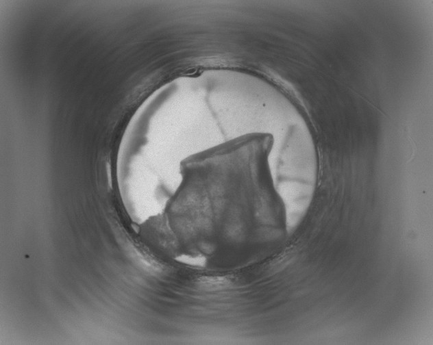 X0000066520061200604141824