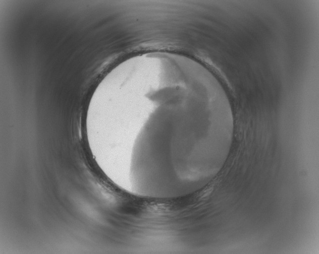 X0000066520062200604141824