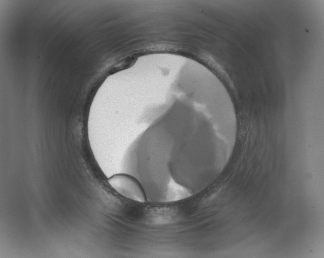 X0000066520063200604141824