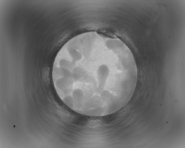 X0000066520066200604141824