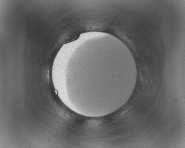 X0000066520067200604141824