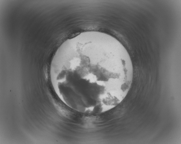 X0000066520069200604141825