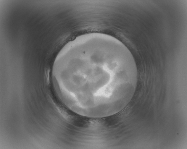 X0000066520070200604141825