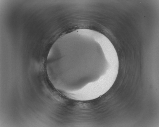 X0000066520073200604141825