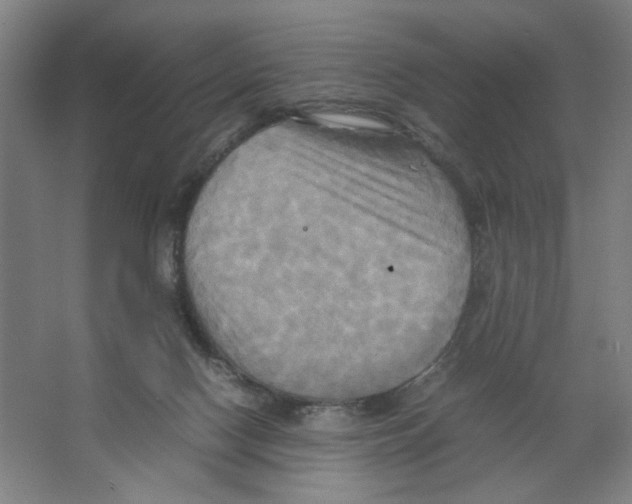 X0000066520074200604141825