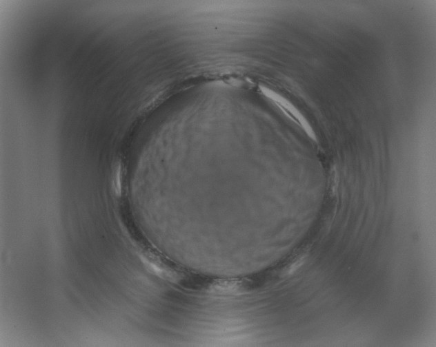 X0000066520076200604141825