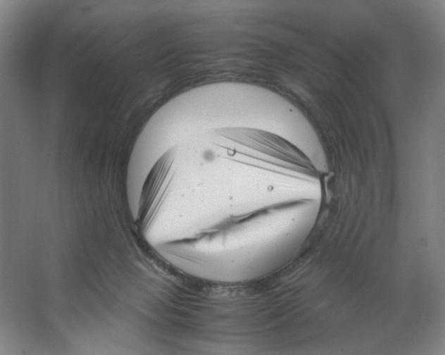 X0000066520077200604141825