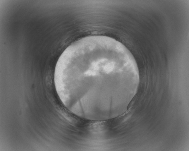 X0000066520078200604141825