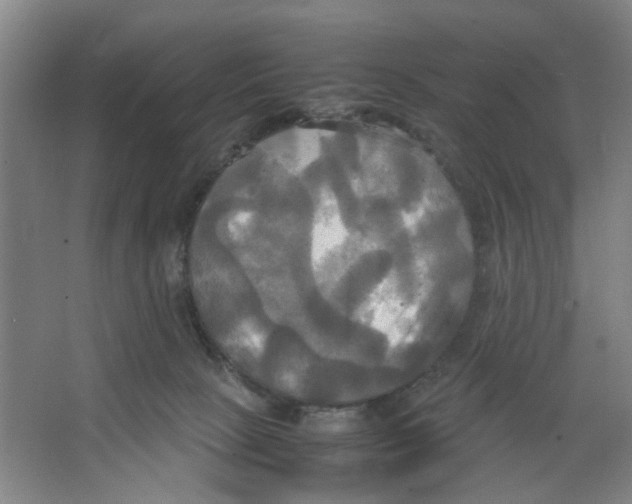 X0000066520081200604141825