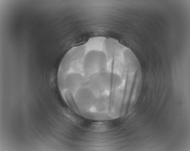 X0000066520082200604141825