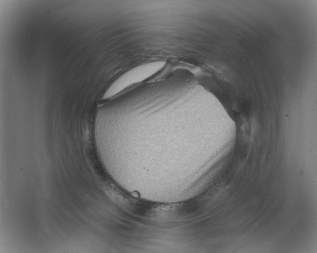 X0000066520084200604141825