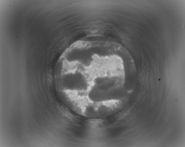 X0000066520085200604141825