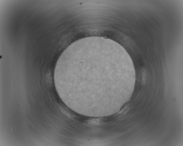 X0000066520086200604141825