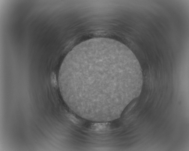 X0000066520089200604141825