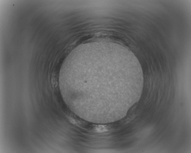 X0000066520091200604141825