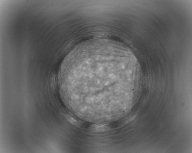 X0000066520093200604141825