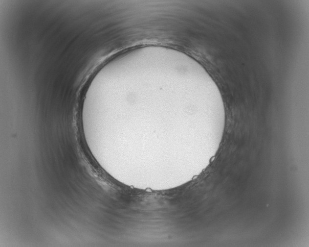 X0000066520098200604141824