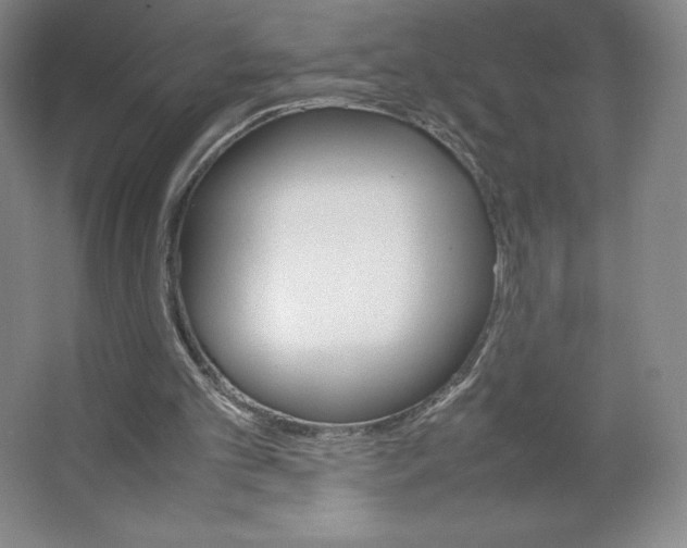 X0000066520101200604141824