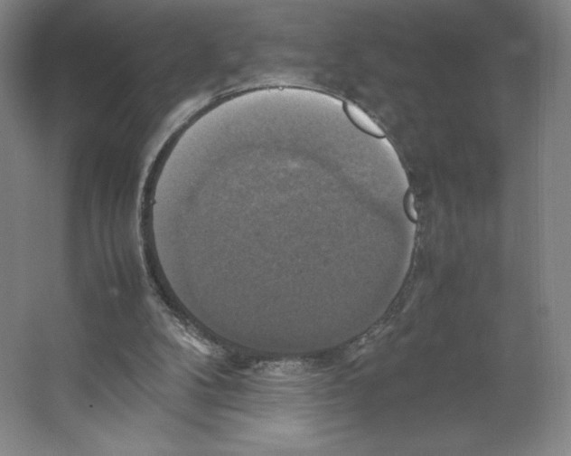 X0000066520104200604141824