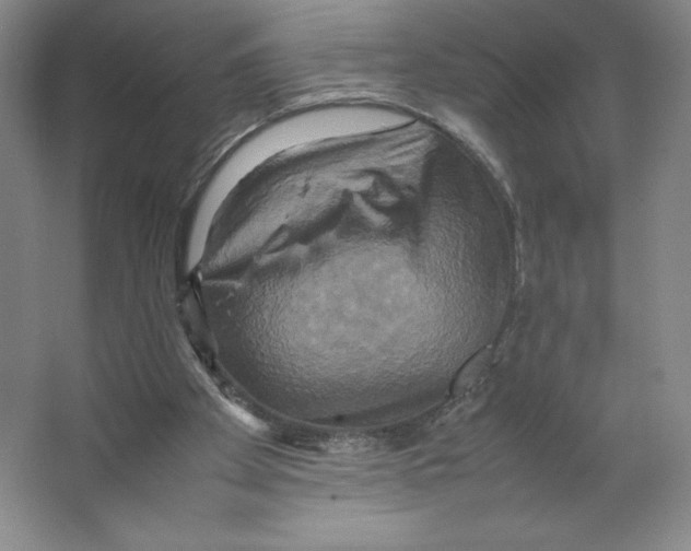 X0000066520105200604141824