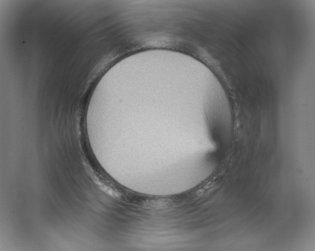 X0000066520106200604141824