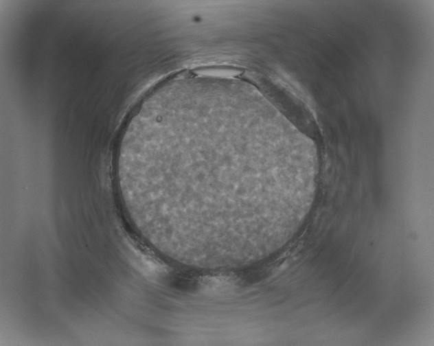 X0000066520107200604141824