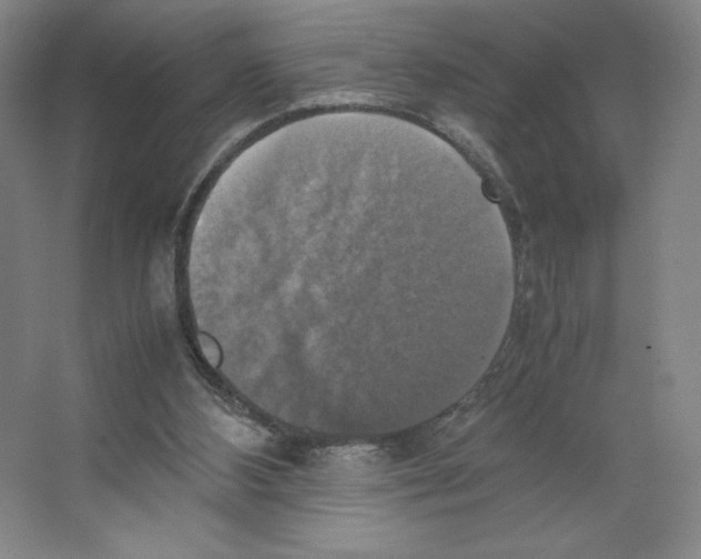 X0000066520108200604141824