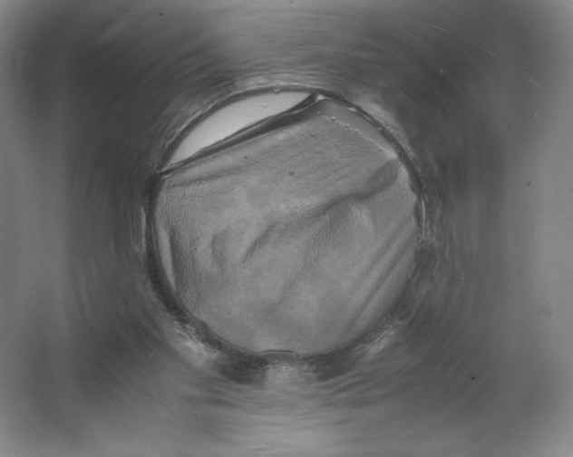 X0000066520109200604141824