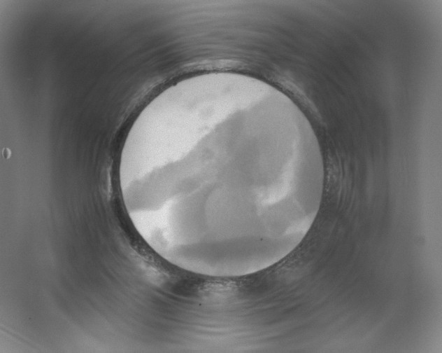 X0000066520110200604141824