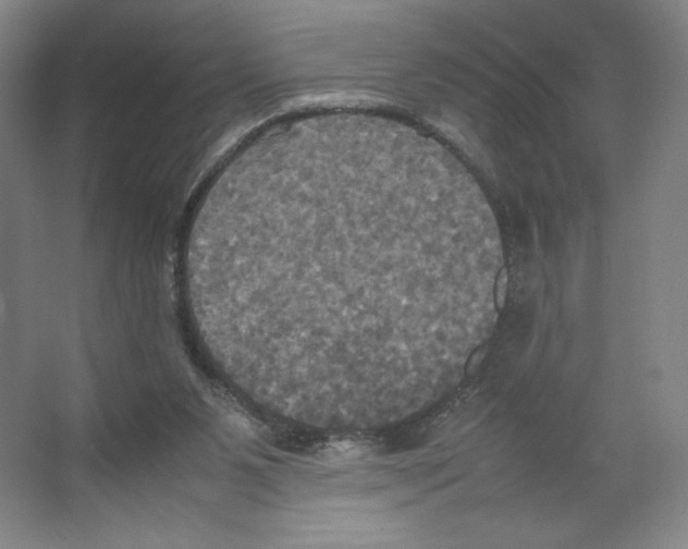 X0000066520111200604141824