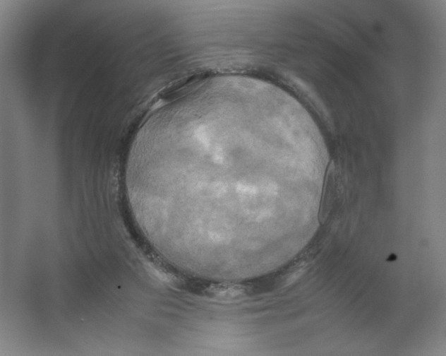 X0000066520113200604141824