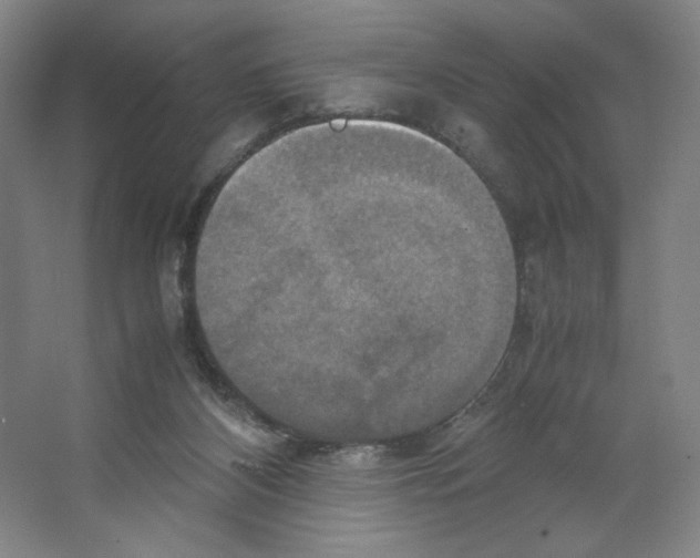 X0000066520116200604141824