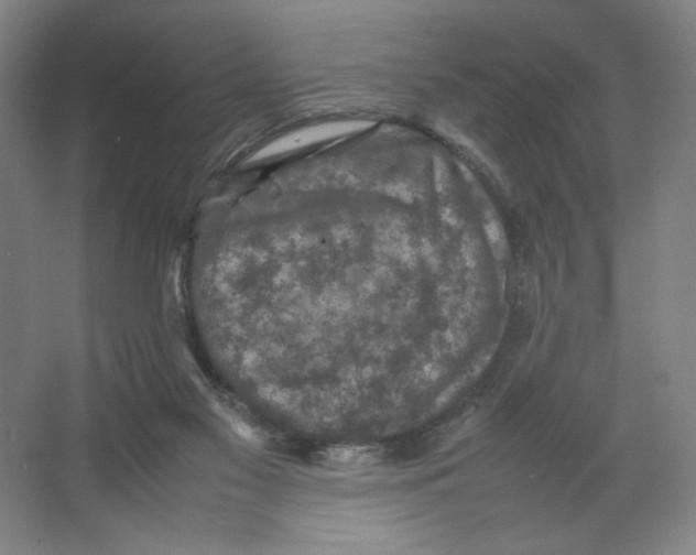 X0000066520117200604141824