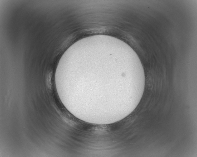 X0000066520118200604141824