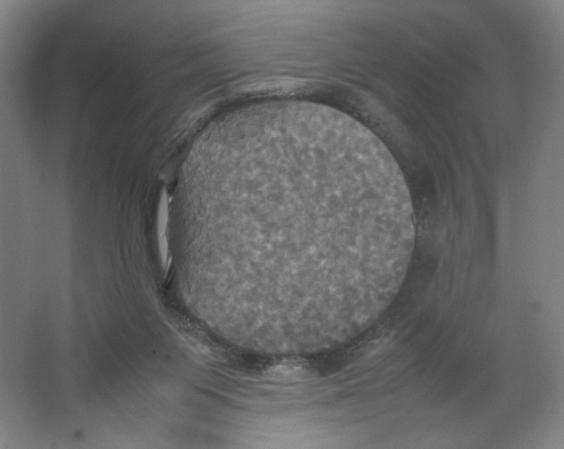 X0000066520119200604141824