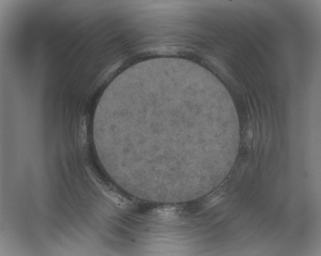 X0000066520120200604141824