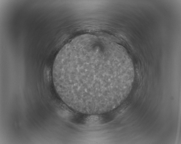 X0000066520123200604141824