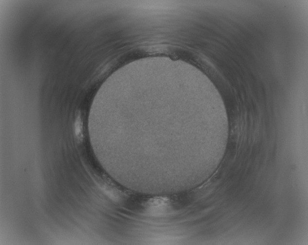 X0000066520124200604141824