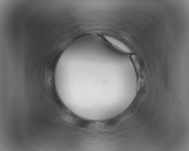 X0000066520125200604141824