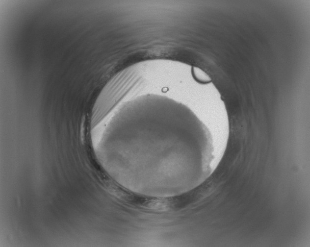 X0000066520127200604141824