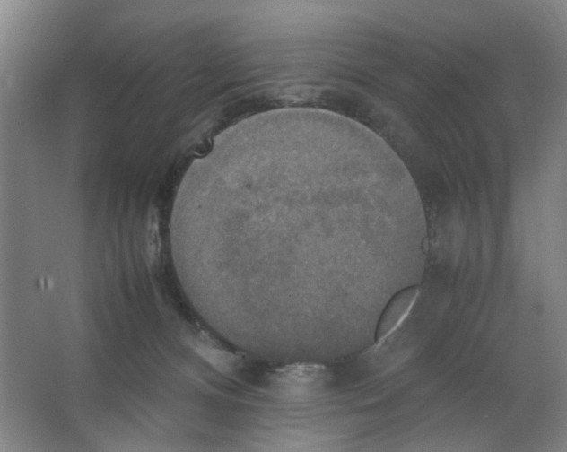 X0000066520128200604141824