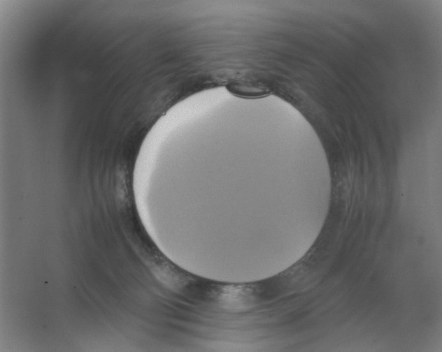 X0000066520130200604141824