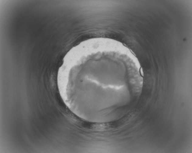 X0000066520131200604141824