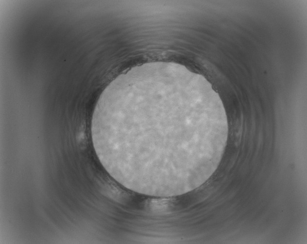 X0000066520134200604141824