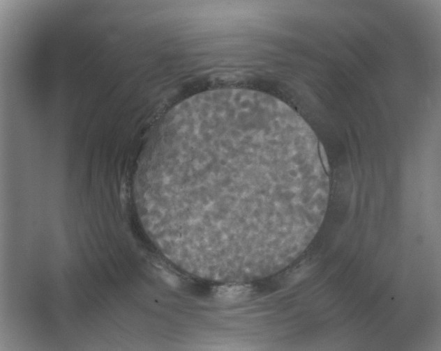 X0000066520135200604141824