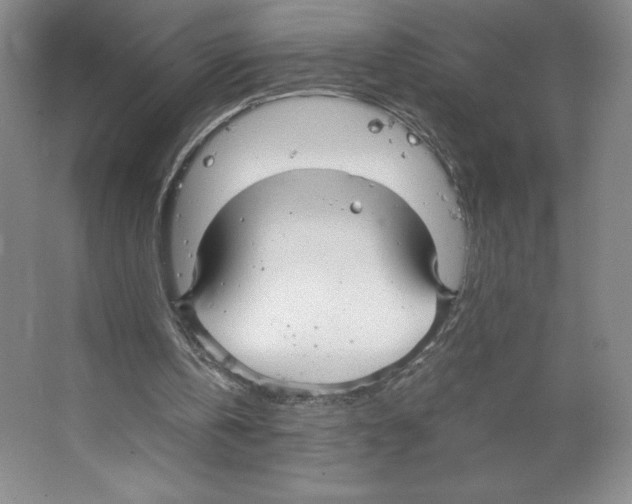 X0000066520146200604141823